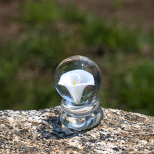 Load image into Gallery viewer, White Calla Lily Flower Marble