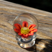 Load image into Gallery viewer, Red Coneflower Marble