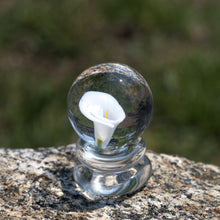 Load image into Gallery viewer, White Calla Lily Flower Marble