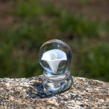 Load image into Gallery viewer, White Calla Lily Flower Marble