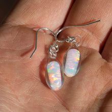 Load image into Gallery viewer, Jewelry Earrings