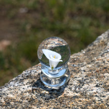Load image into Gallery viewer, White Calla Lily Flower Marble
