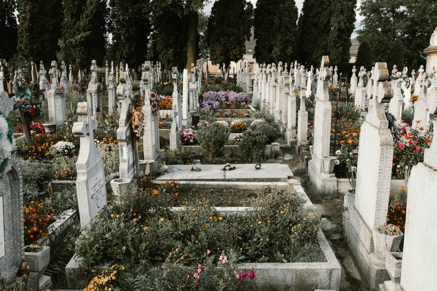 Are Cremation Ashes Toxic? Debunking the Myths