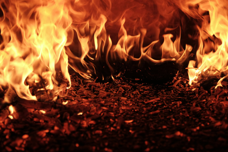 What Happens During Cremation?