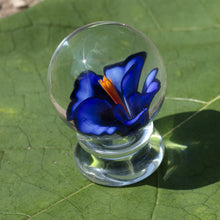 Load image into Gallery viewer, Hibiscus Flower Marble
